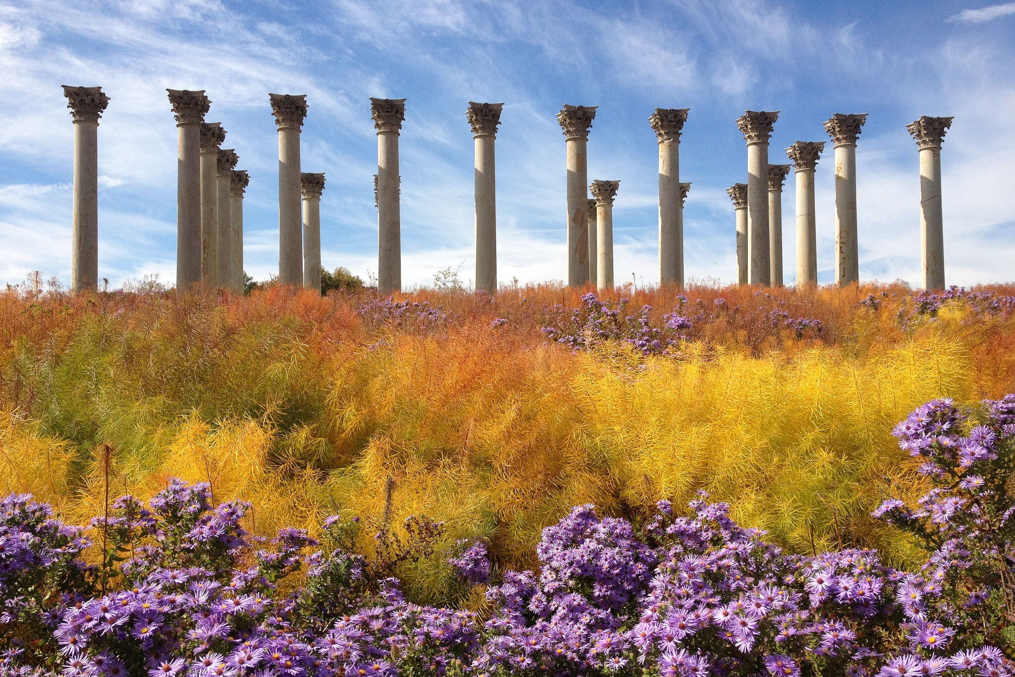 Dumbarton Oaks Gardens